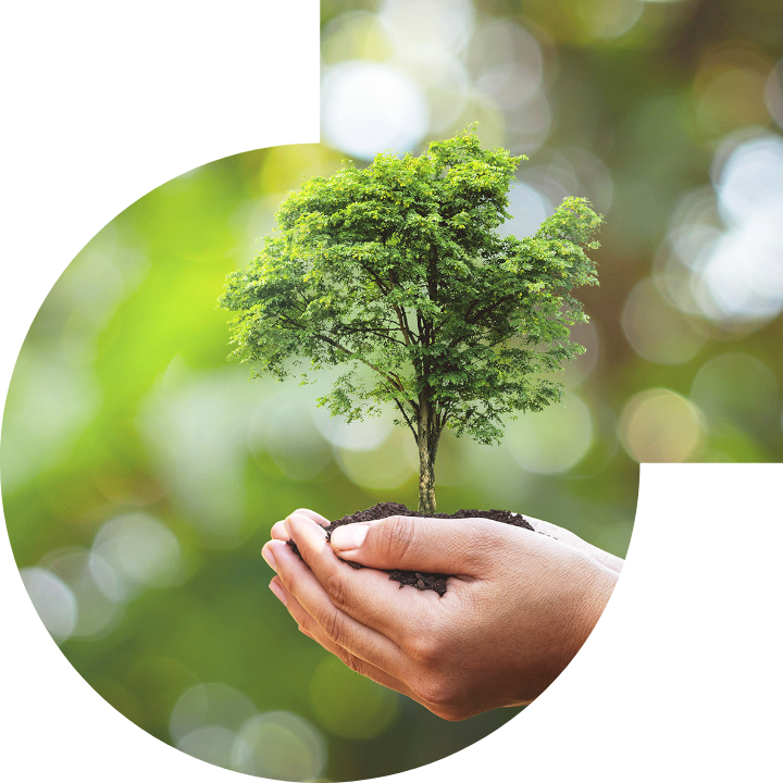 �P(gu��n)��������Ļ����h(hu��n)���c���(hu��)